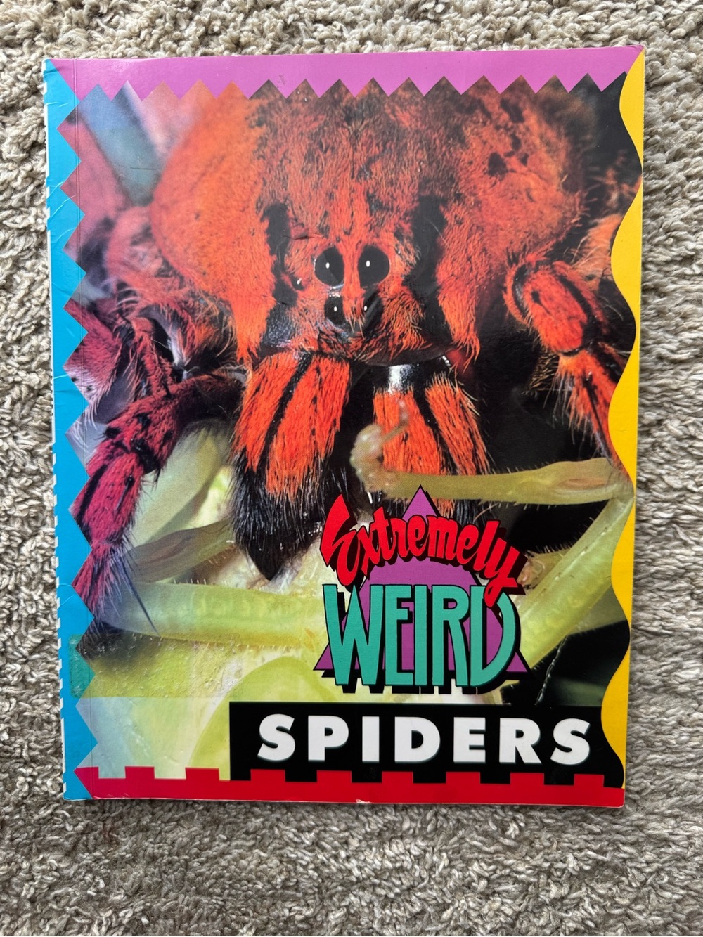 Extremely Weird Spiders Sarah Lovett 1996 Vintage Kids Science Book